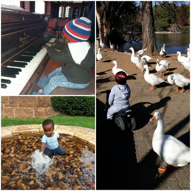 group of kids playing in water, with ducks and the piano