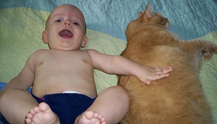 baby touching his cat