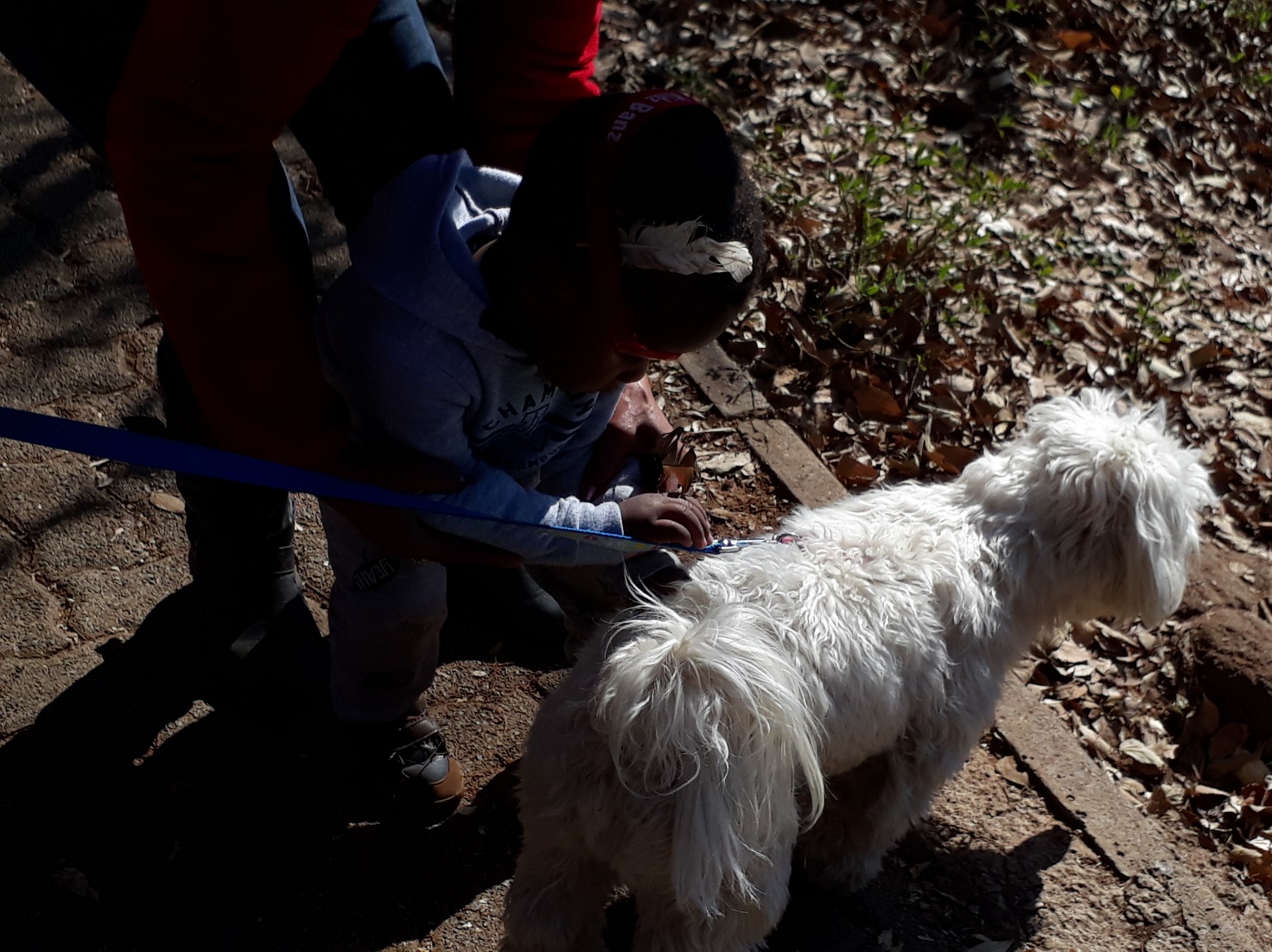 a-blind-child-stroking-the-dog-of-a-person-in-the park