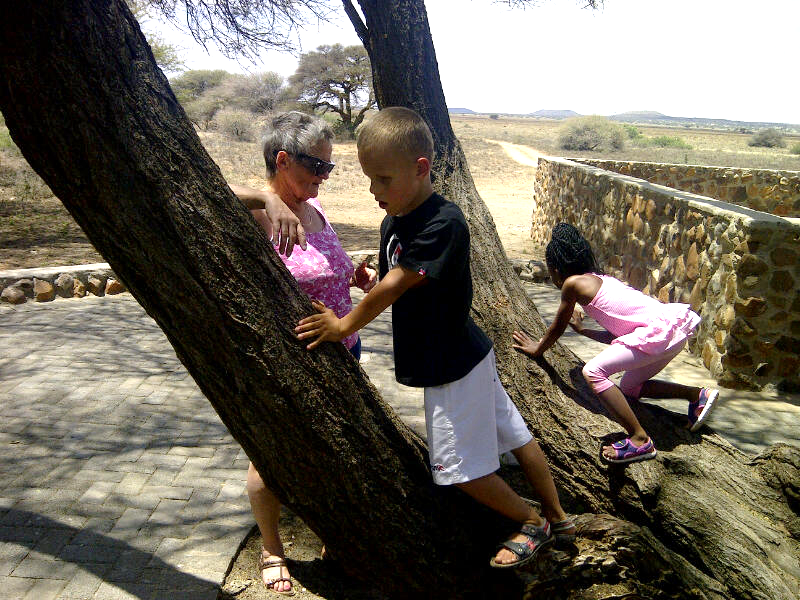 Blind children sitting in a tree listening to bird sounds