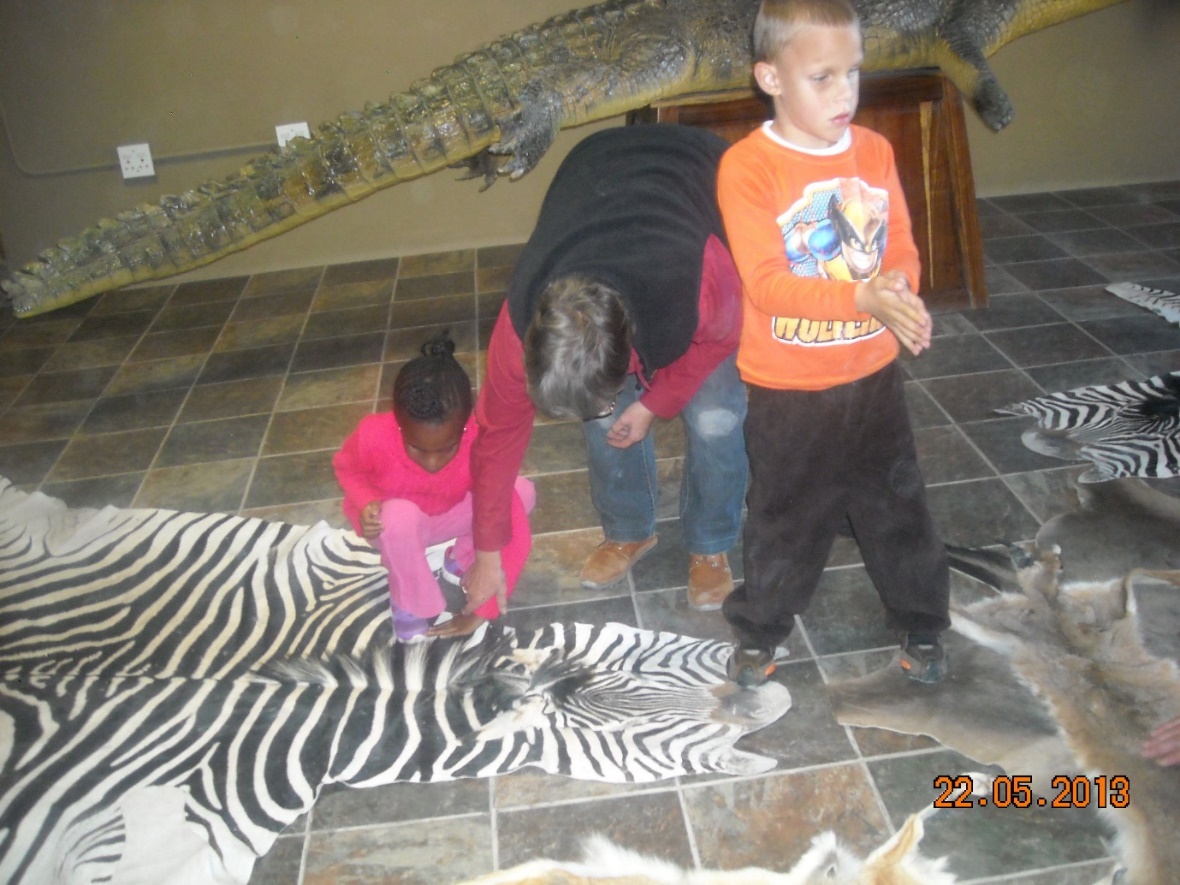 little girl feeling zebra skin on the floor